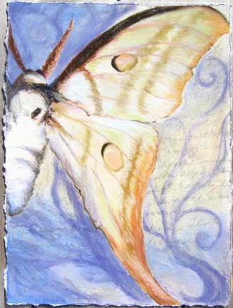 bunkert-2010-01 "Opened Up" 17 x 23 pastel by Denise Bunkert