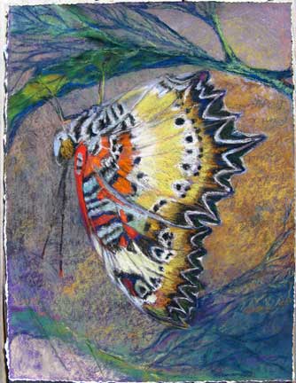 bunkert-2010-03 "Checkerspot" 17 x 23 pastel by Denise Bunkert